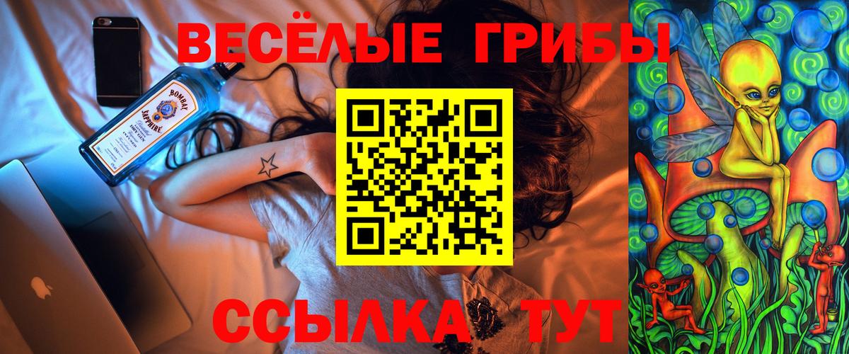 Галлюциногенные грибы Psilocybe Сунжа