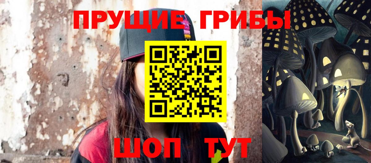 Сунжа  Галлюциногенные грибы Cubensis  где найти   Вход с VPN 