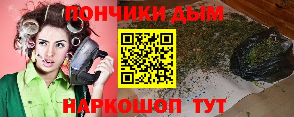 Сунжа  Шишки марихуана планчик  Бошки марихуана AK-47  Вход с VPN  Бошки Шишки Bruce Banner 